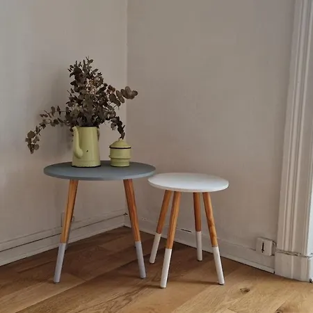 Le Philippe, Cosy Au Coeur De Lyon, 2 Apartment Lyon